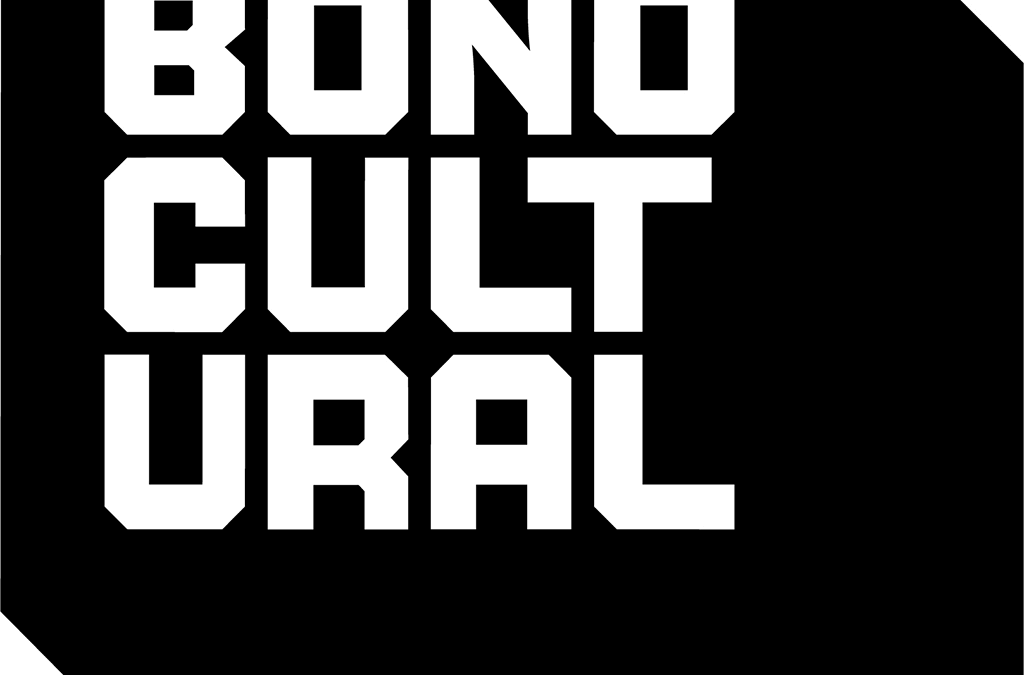 El Bono Cultural Joven